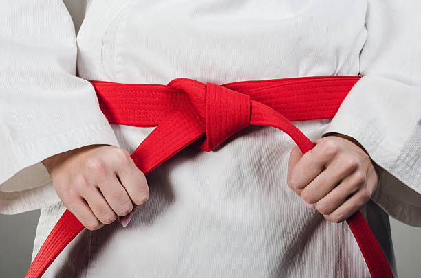 The Karate Grading System